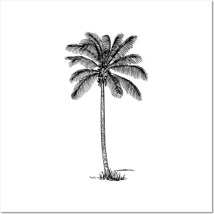 Minimalist Black Palm Tree Posters and Art